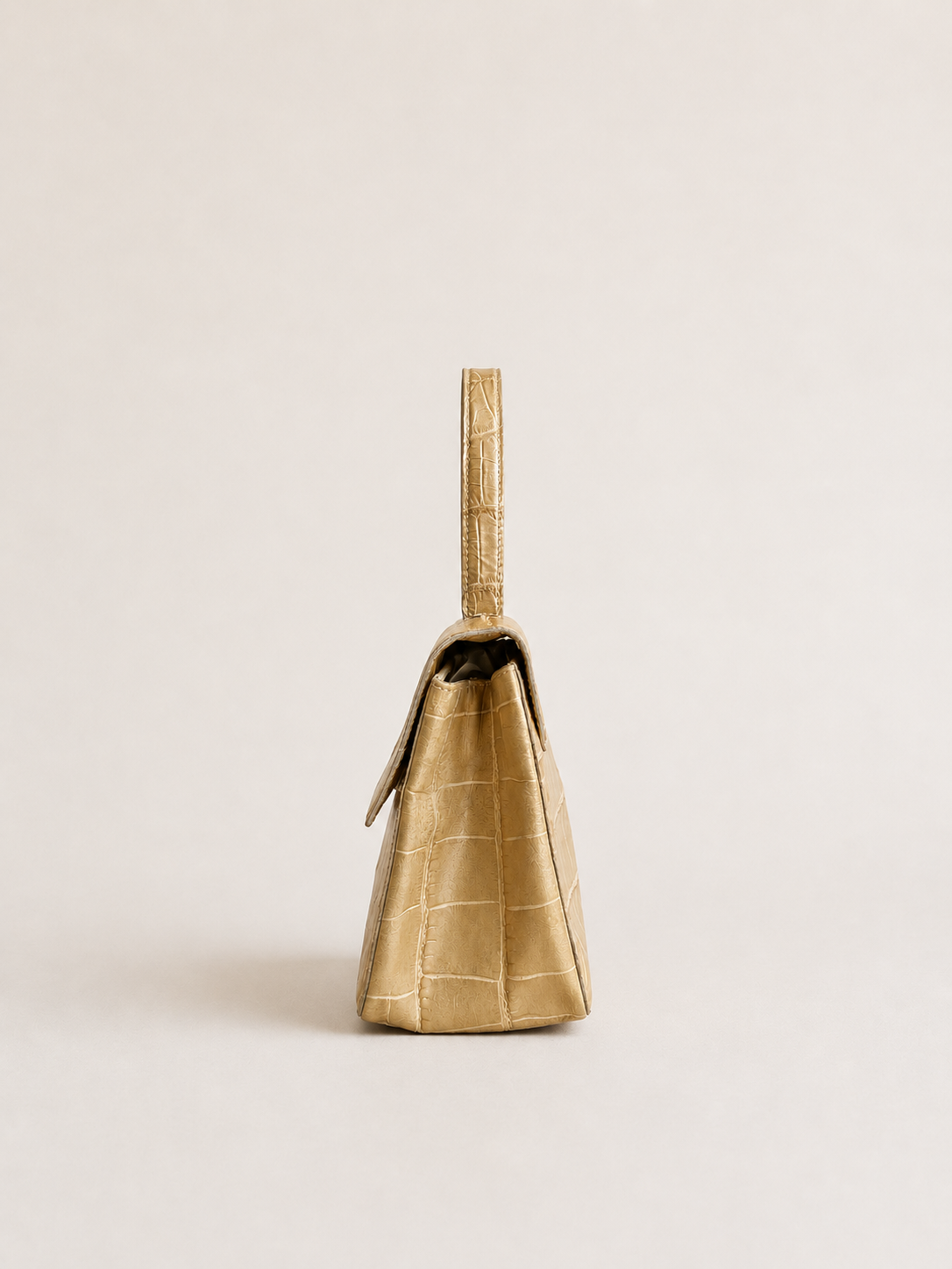 Francesco Biasia crocodile bag