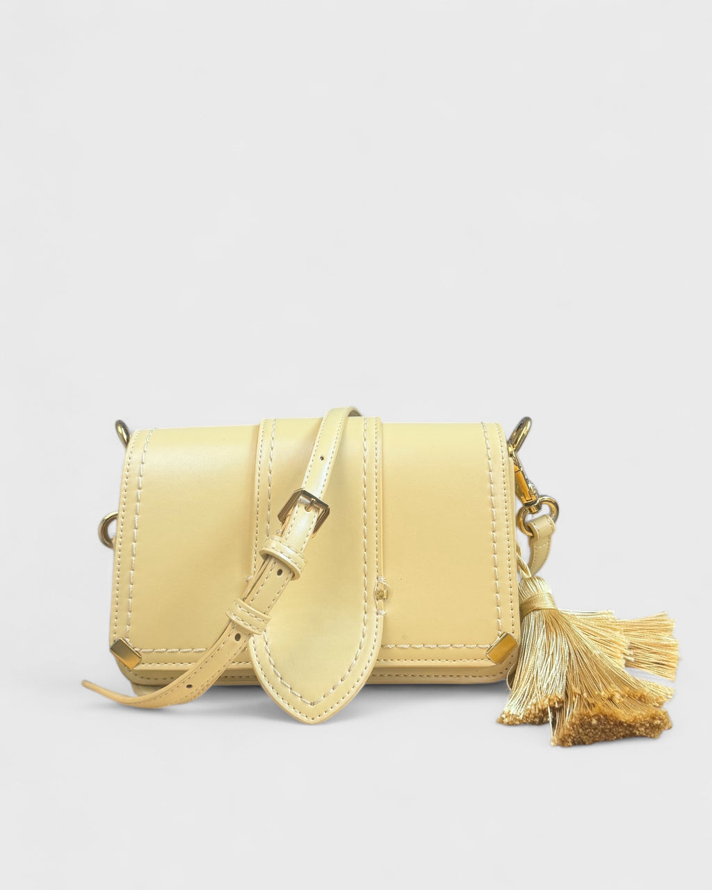 Charles &amp; Keith Mini Bag