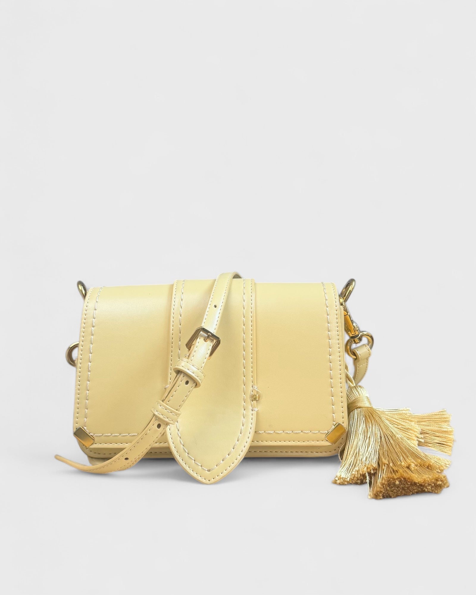 Charles &amp; Keith Mini Bag